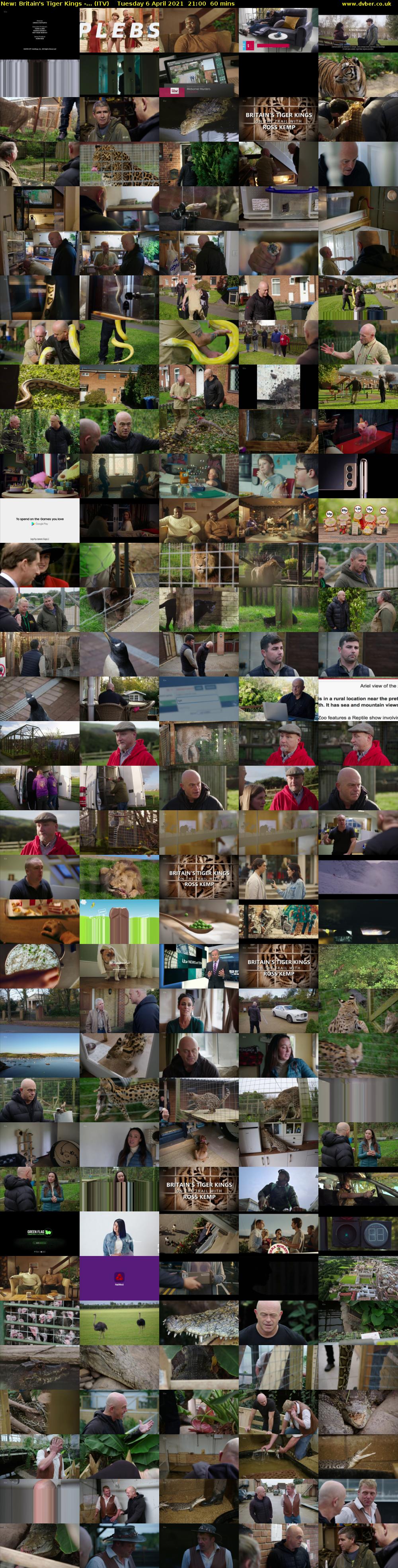 Britain's Tiger Kings -... (ITV) Tuesday 6 April 2021 21:00 - 22:00