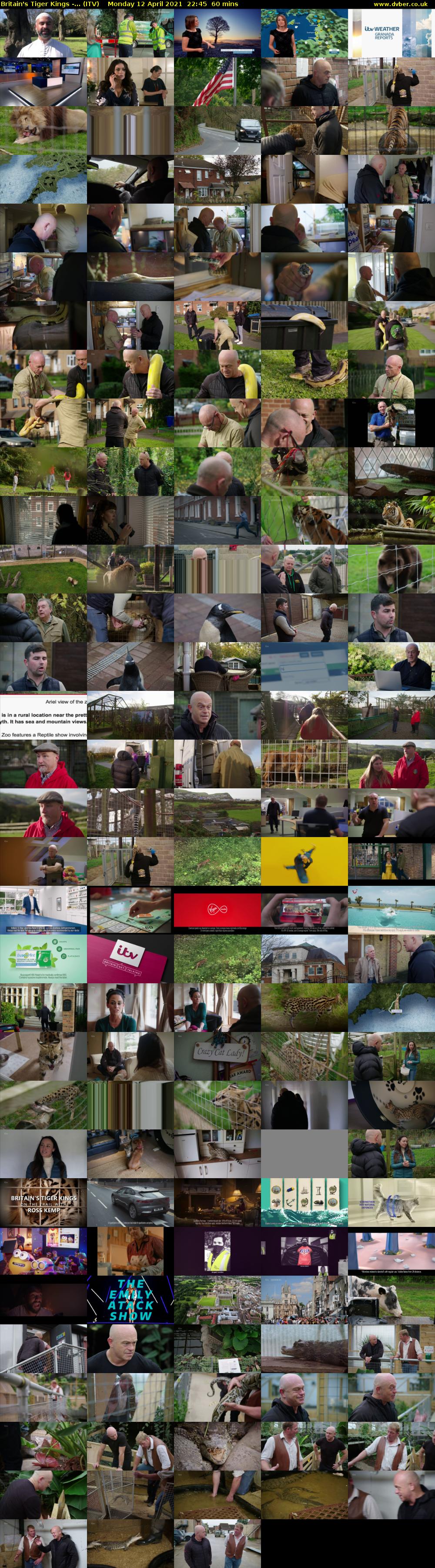 Britain's Tiger Kings -... (ITV) Monday 12 April 2021 22:45 - 23:45