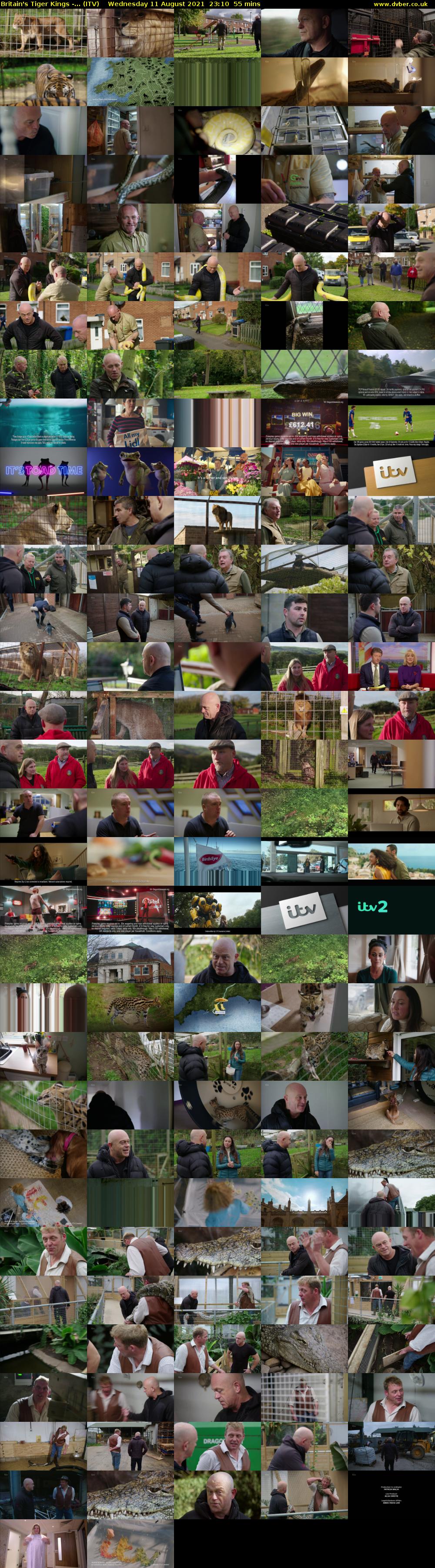 Britain's Tiger Kings -... (ITV) Wednesday 11 August 2021 23:10 - 00:05