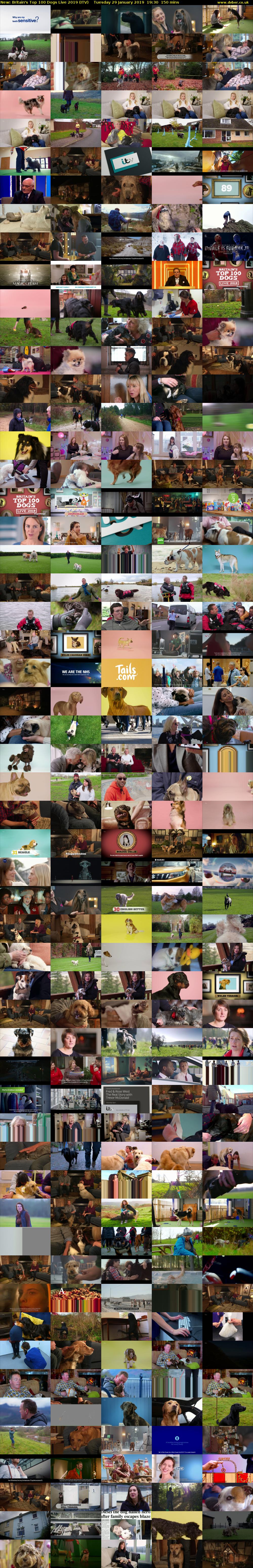 Britain's Top 100 Dogs Live 2019 (ITV) Tuesday 29 January 2019 19:30 - 22:00