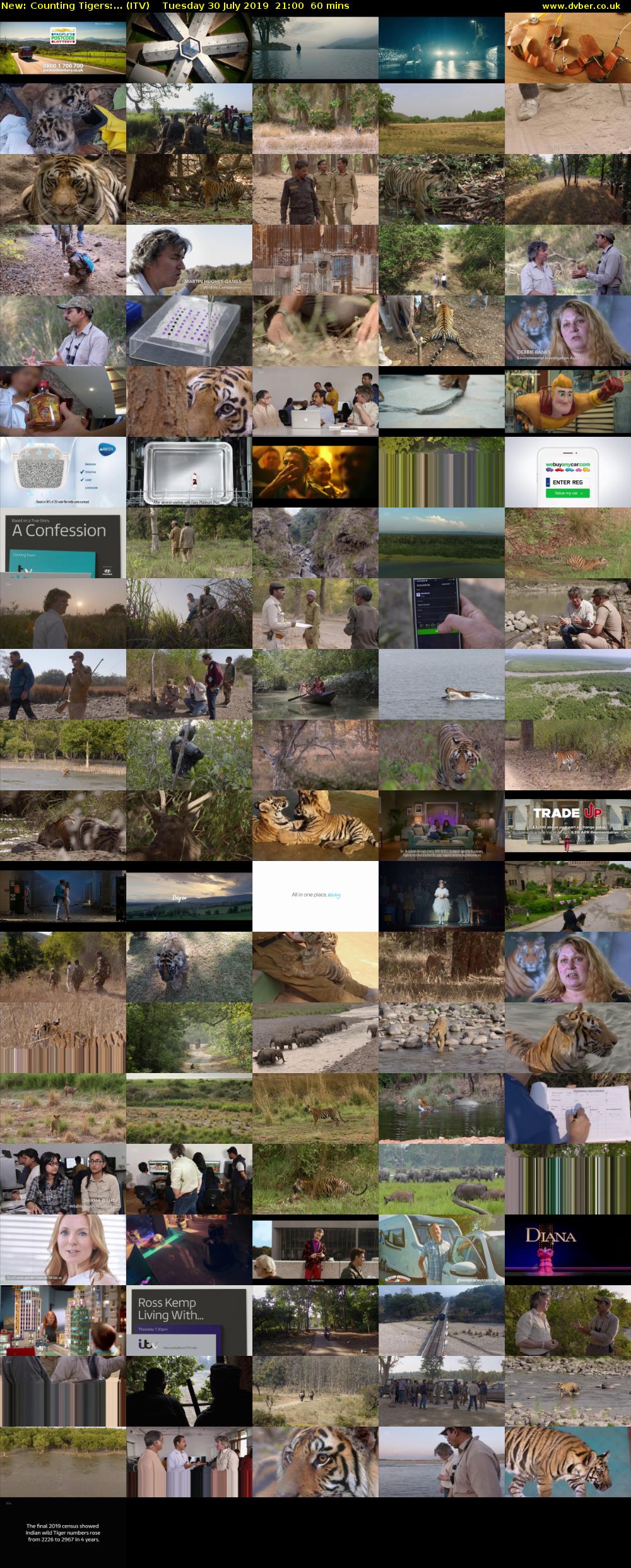 Counting Tigers:... (ITV) Tuesday 30 July 2019 21:00 - 22:00