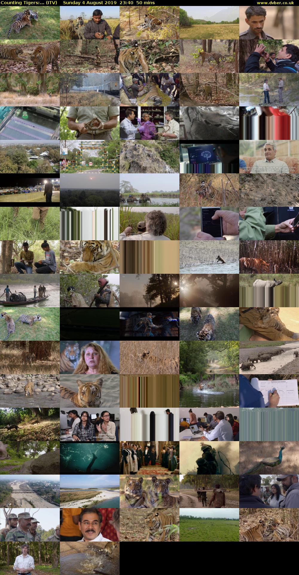 Counting Tigers:... (ITV) Sunday 4 August 2019 23:40 - 00:30