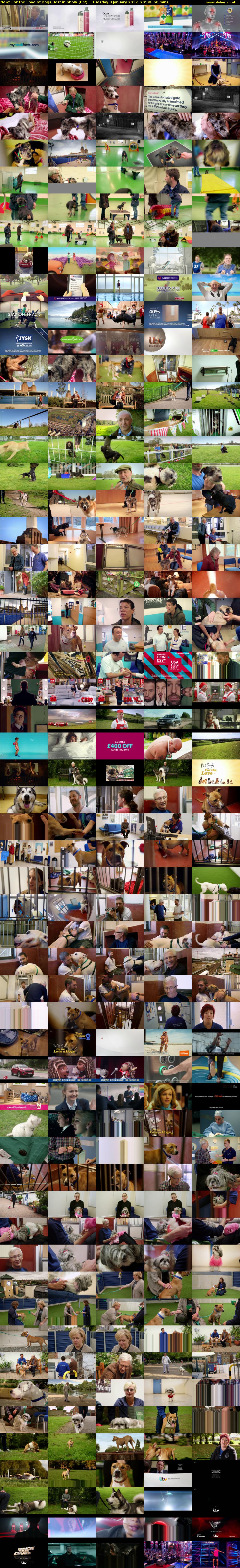 For the Love of Dogs Best in Show (ITV) Tuesday 3 January 2017 20:00 - 21:00