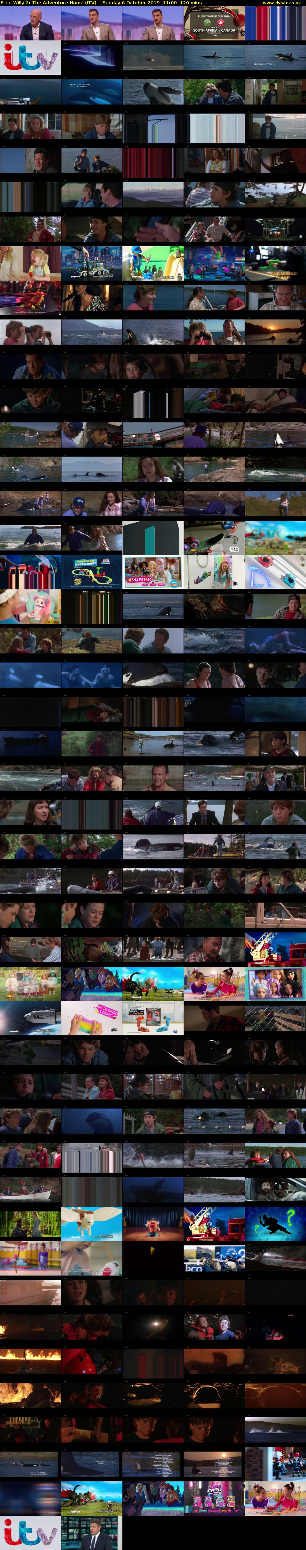 Free Willy 2: The Adventure Home (ITV) Sunday 6 October 2019 11:00 - 13:00