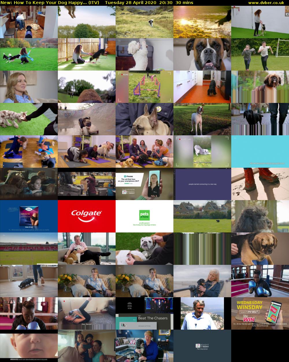 How To Keep Your Dog Happy... (ITV) Tuesday 28 April 2020 20:30 - 21:00
