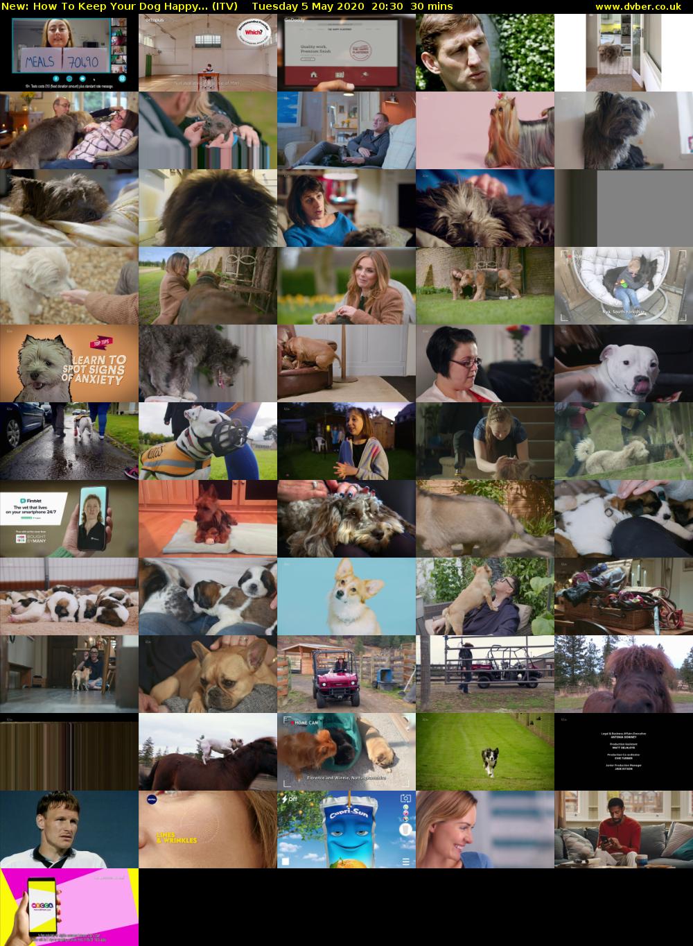 How To Keep Your Dog Happy... (ITV) Tuesday 5 May 2020 20:30 - 21:00