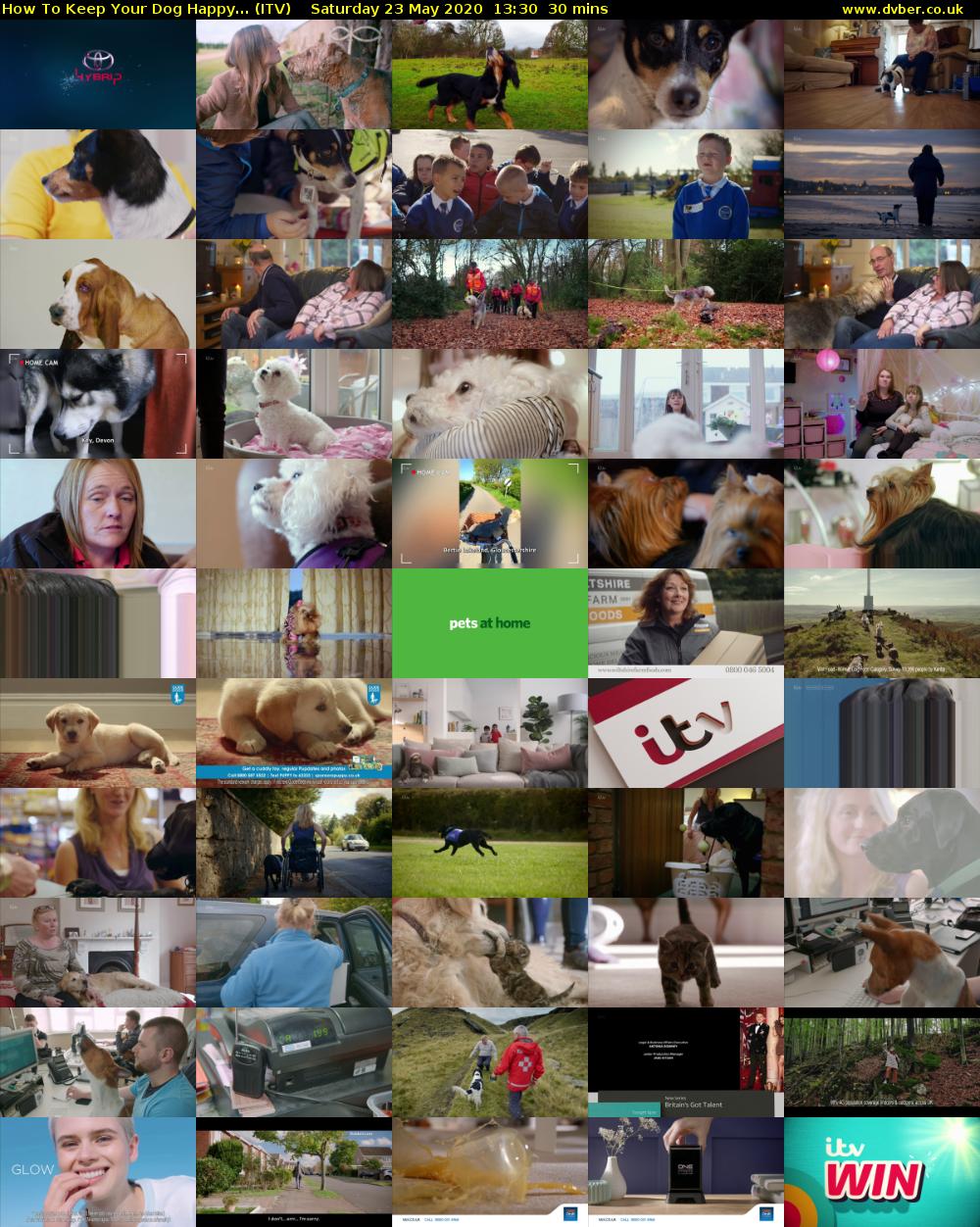 How To Keep Your Dog Happy... (ITV) Saturday 23 May 2020 13:30 - 14:00