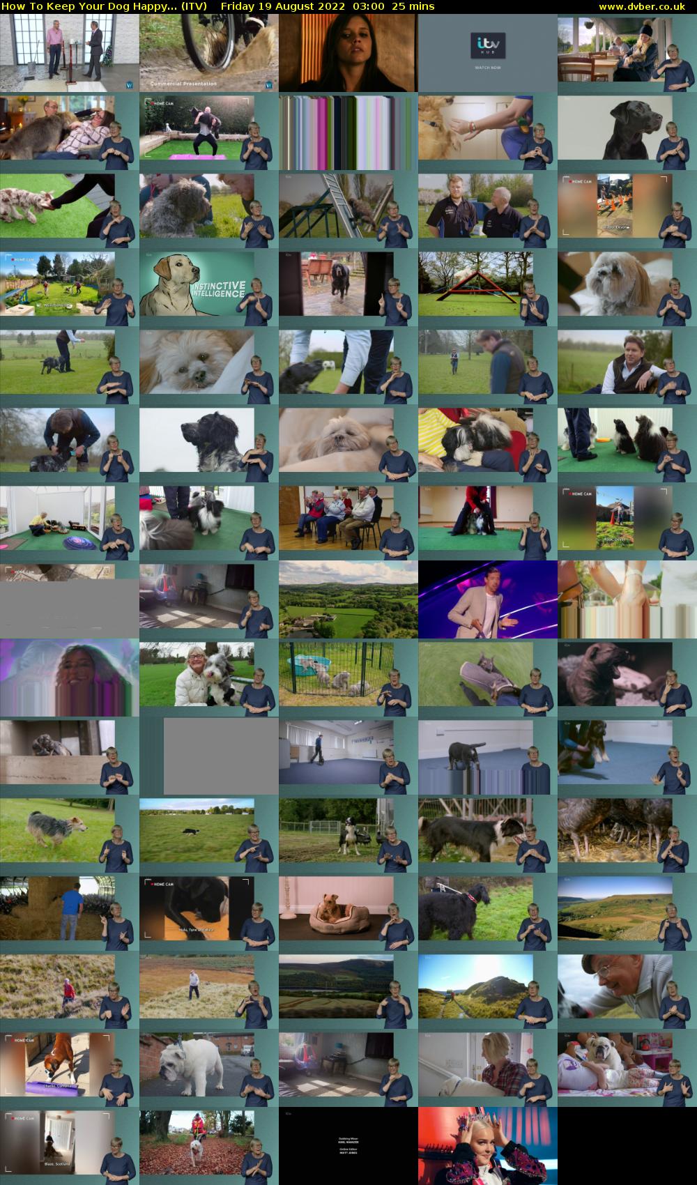 How To Keep Your Dog Happy... (ITV) Friday 19 August 2022 03:00 - 03:25