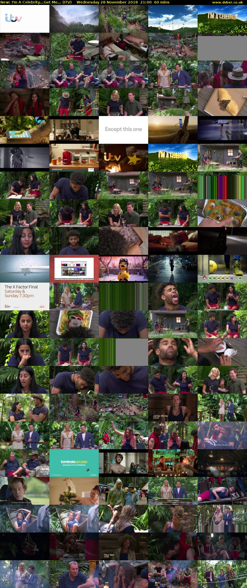 I'm A Celebrity...Get Me... (ITV) Wednesday 28 November 2018 21:00 - 22:00