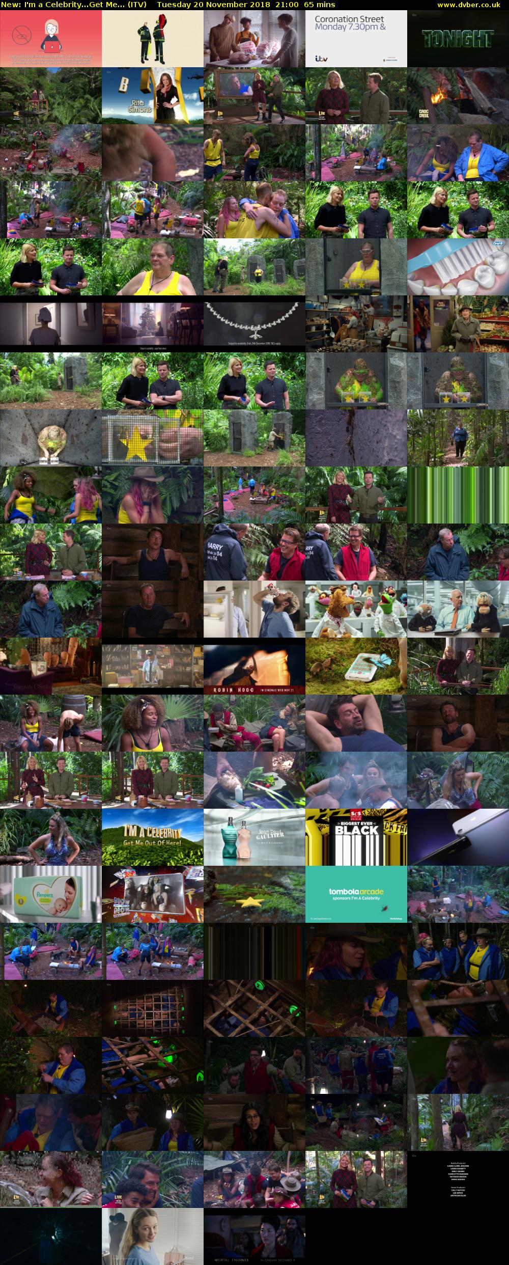 I'm a Celebrity...Get Me... (ITV) Tuesday 20 November 2018 21:00 - 22:05
