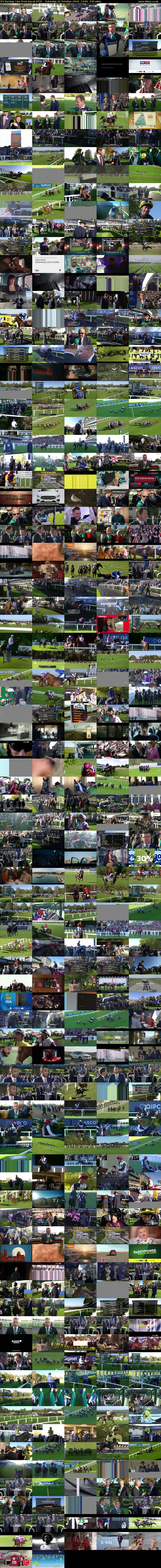 ITV Racing: Live from Ascot (ITV) Saturday 20 October 2018 13:00 - 17:00