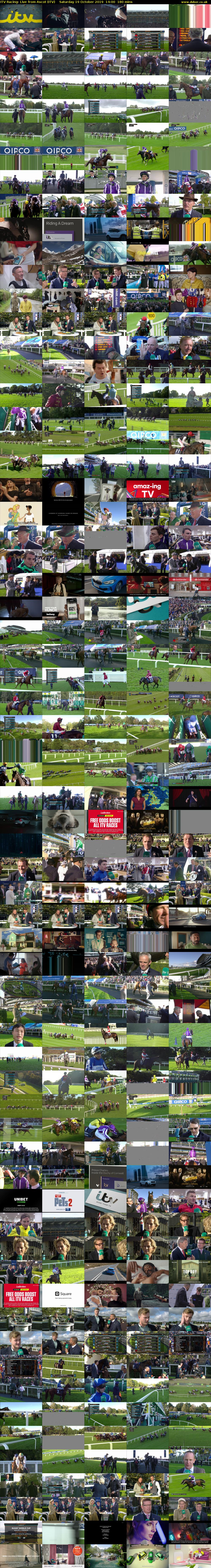 ITV Racing: Live from Ascot (ITV) Saturday 19 October 2019 14:00 - 17:00