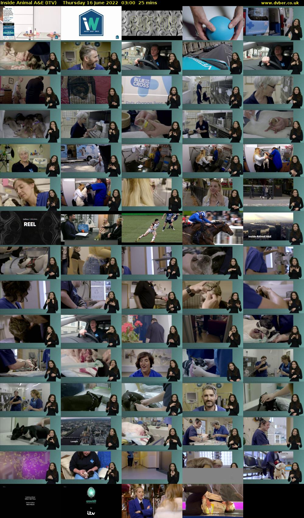 Inside Animal A&E (ITV) Thursday 16 June 2022 03:00 - 03:25