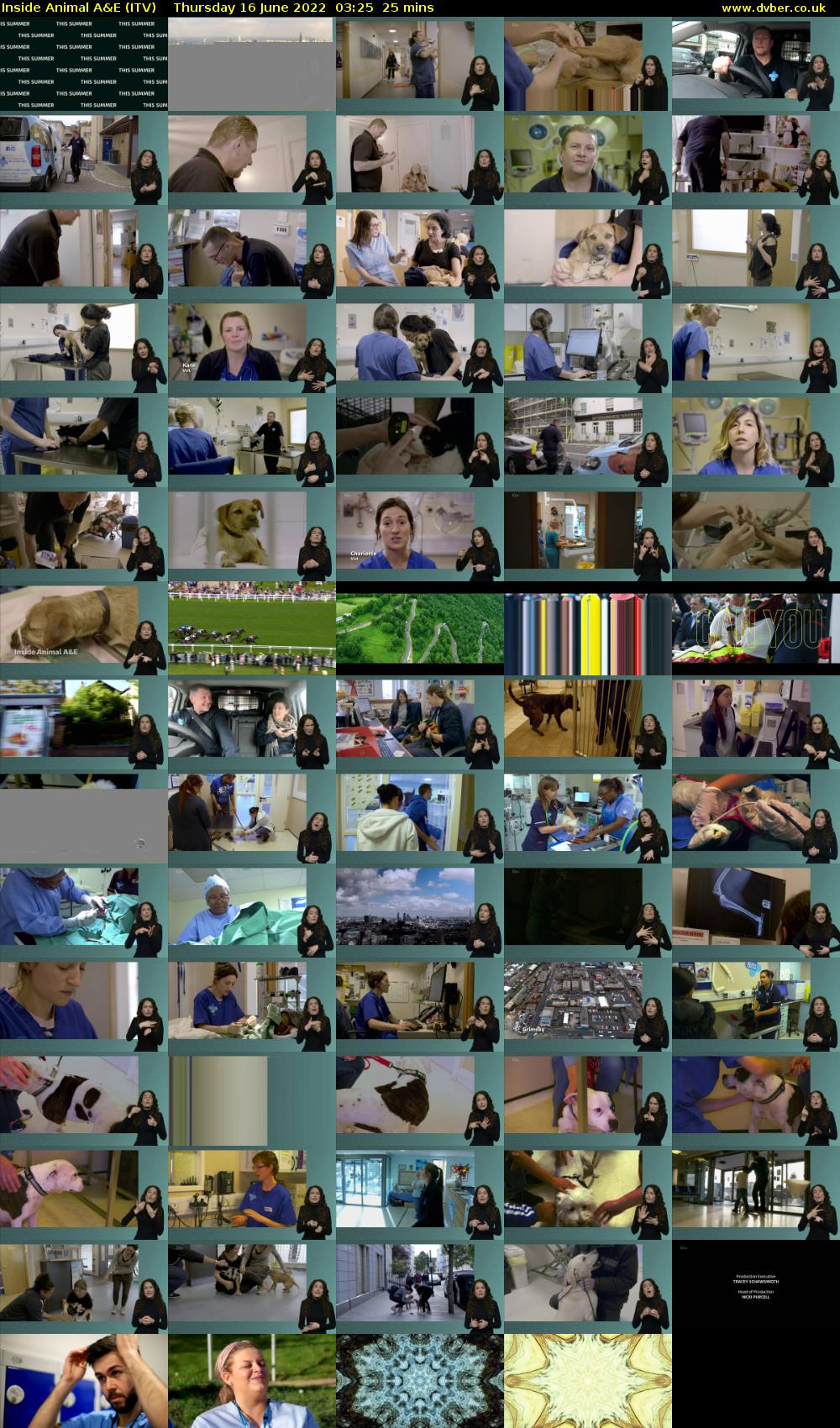 Inside Animal A&E (ITV) Thursday 16 June 2022 03:25 - 03:50