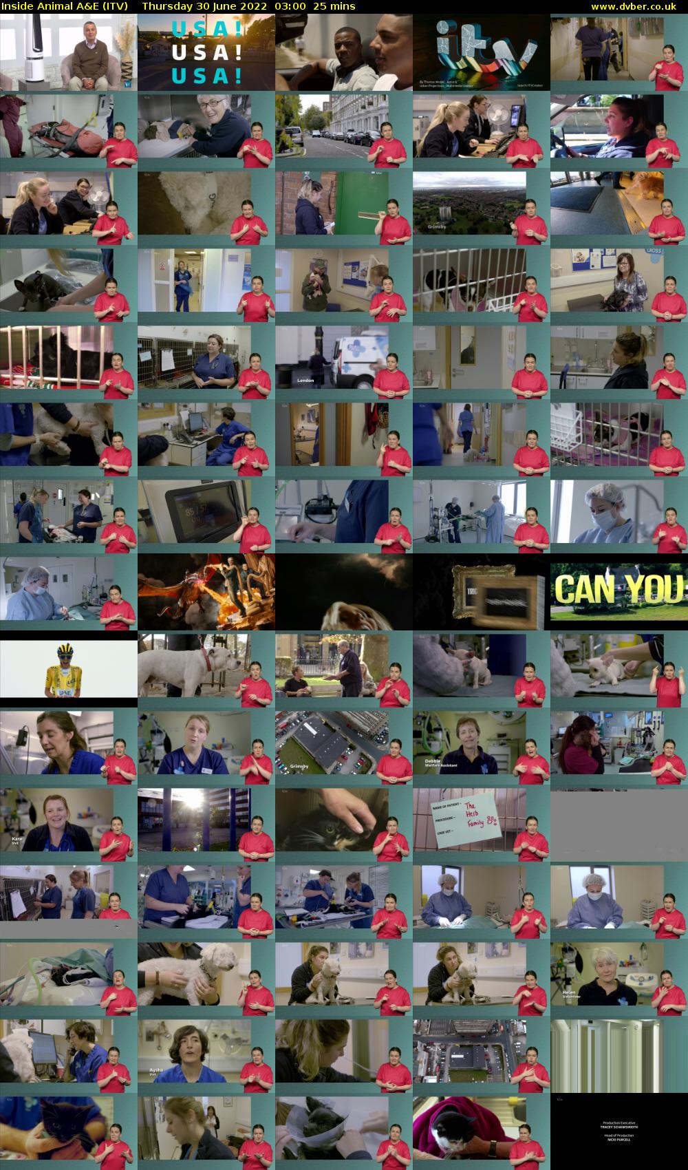 Inside Animal A&E (ITV) Thursday 30 June 2022 03:00 - 03:25