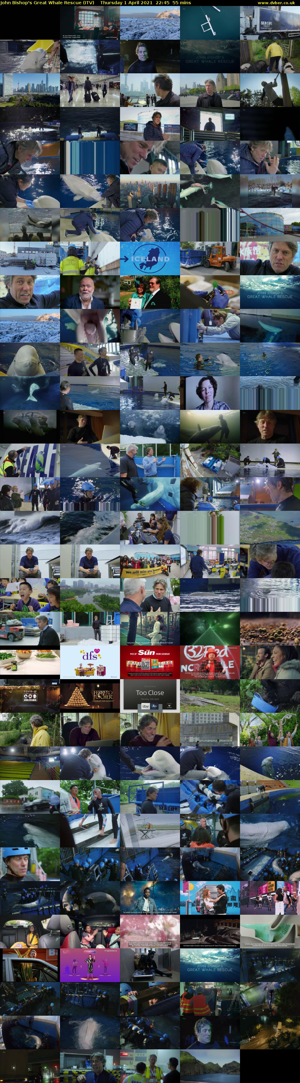 John Bishop's Great Whale Rescue (ITV) Thursday 1 April 2021 22:45 - 23:40