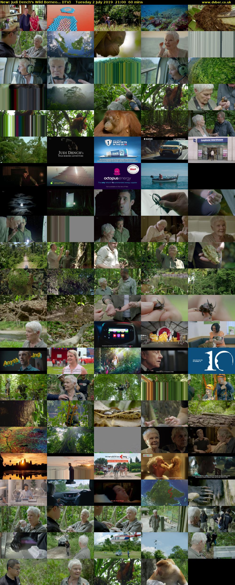 Judi Dench's Wild Borneo... (ITV) Tuesday 2 July 2019 21:00 - 22:00