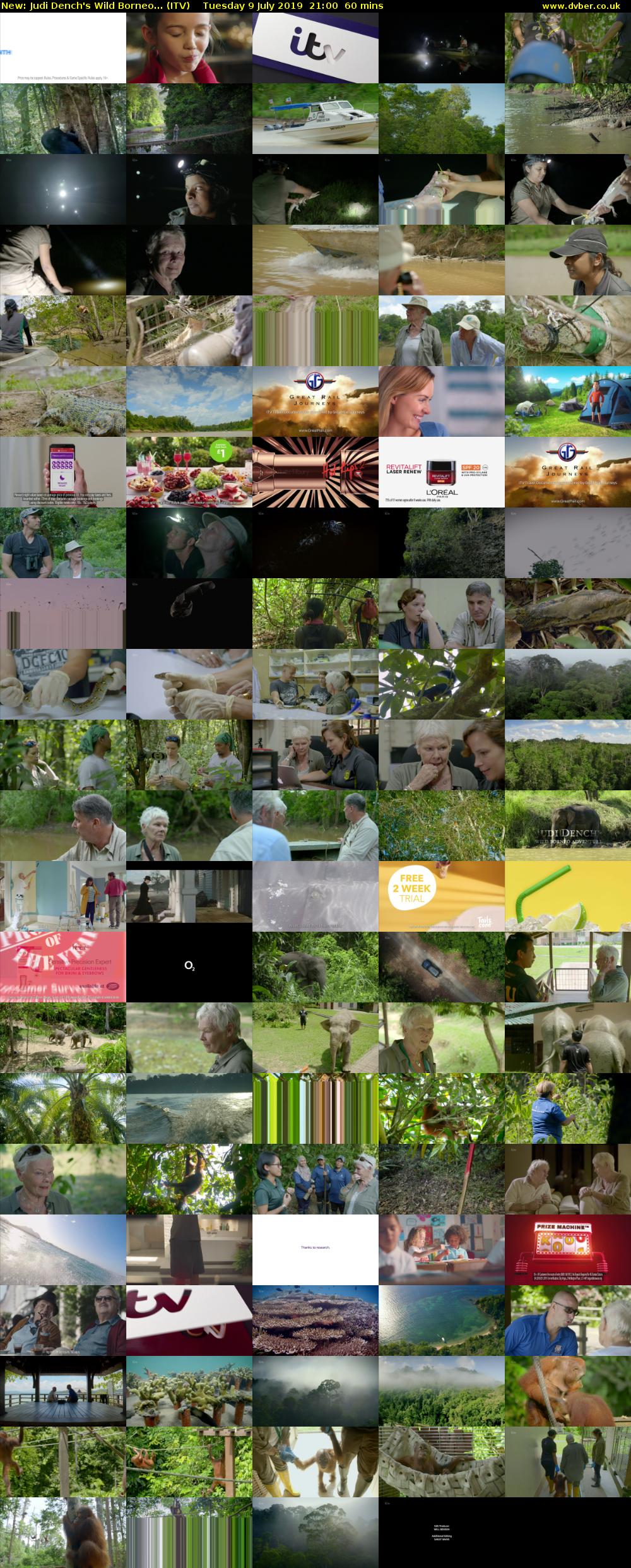 Judi Dench's Wild Borneo... (ITV) Tuesday 9 July 2019 21:00 - 22:00