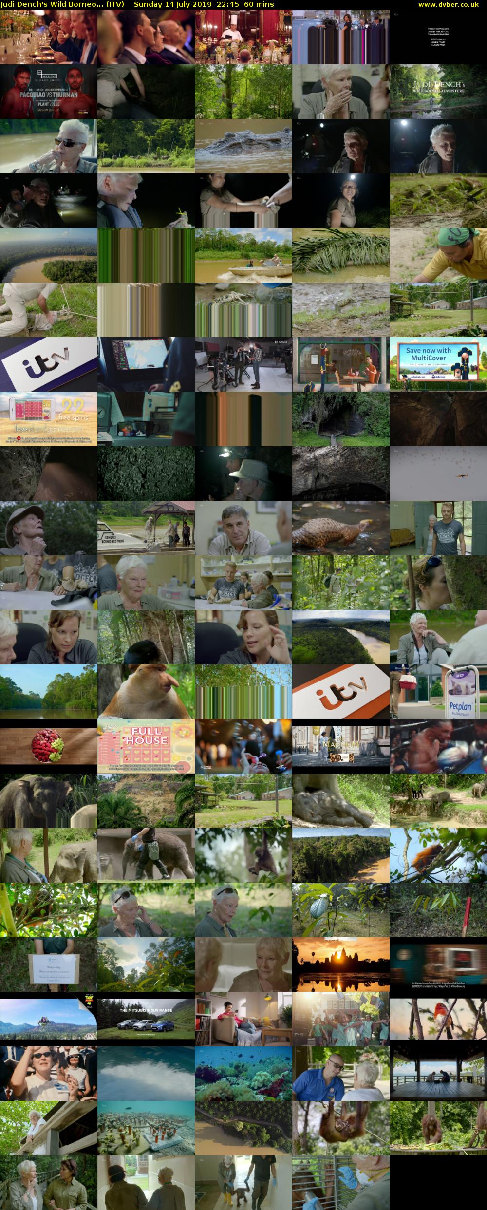 Judi Dench's Wild Borneo... (ITV) Sunday 14 July 2019 22:45 - 23:45