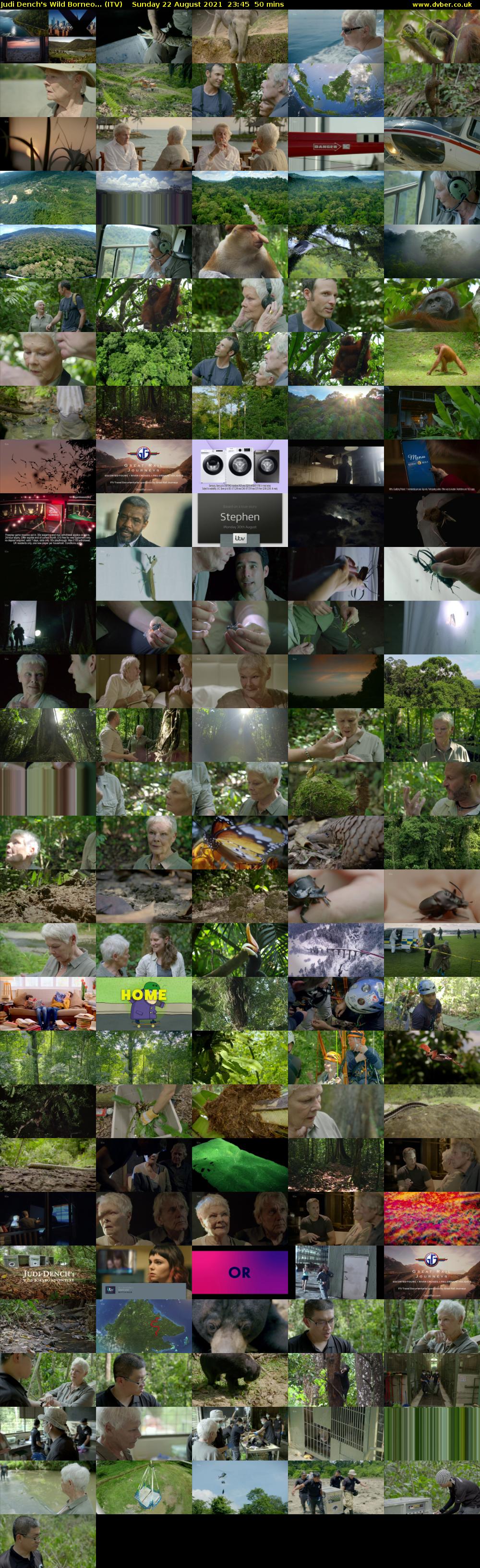 Judi Dench's Wild Borneo... (ITV) Sunday 22 August 2021 23:45 - 00:35
