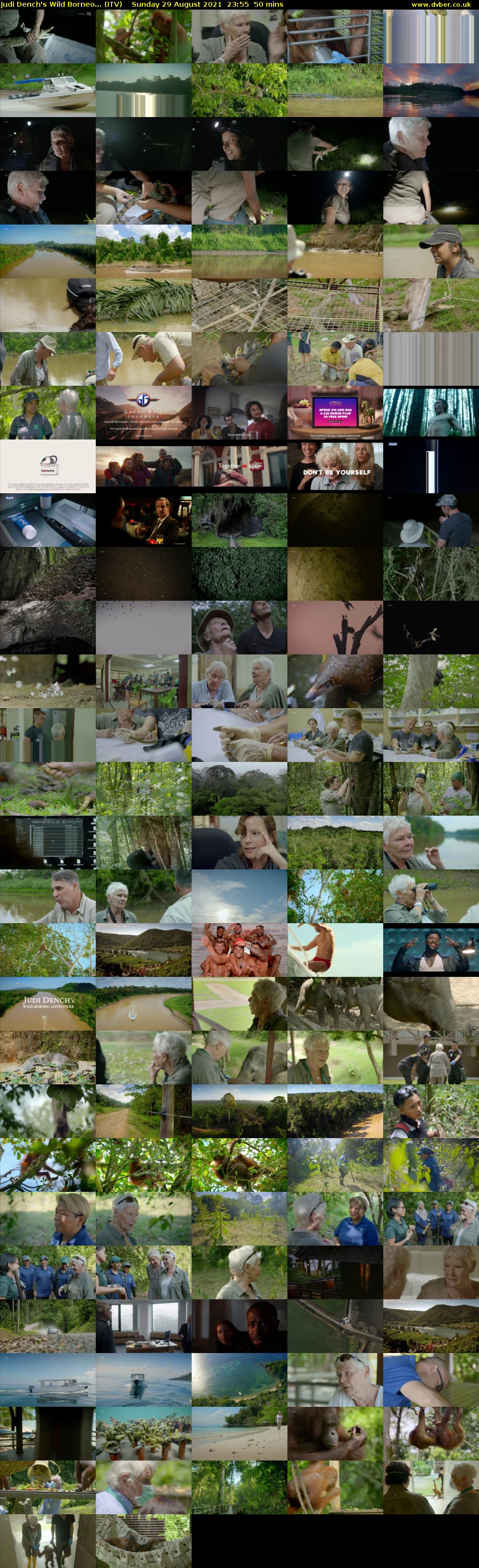 Judi Dench's Wild Borneo... (ITV) Sunday 29 August 2021 23:55 - 00:45