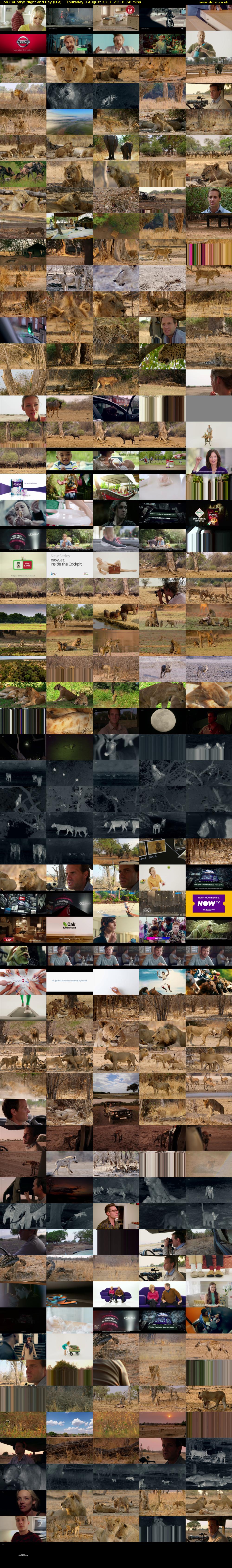 Lion Country: Night and Day (ITV) Thursday 3 August 2017 23:10 - 00:10
