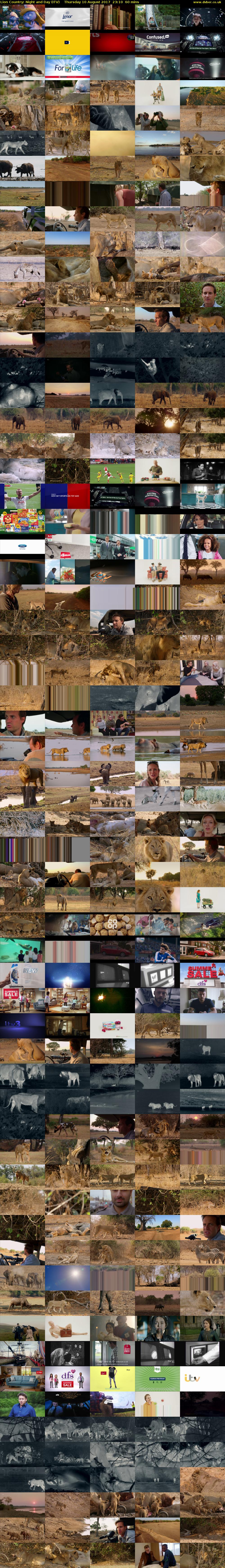 Lion Country: Night and Day (ITV) Thursday 10 August 2017 23:10 - 00:10
