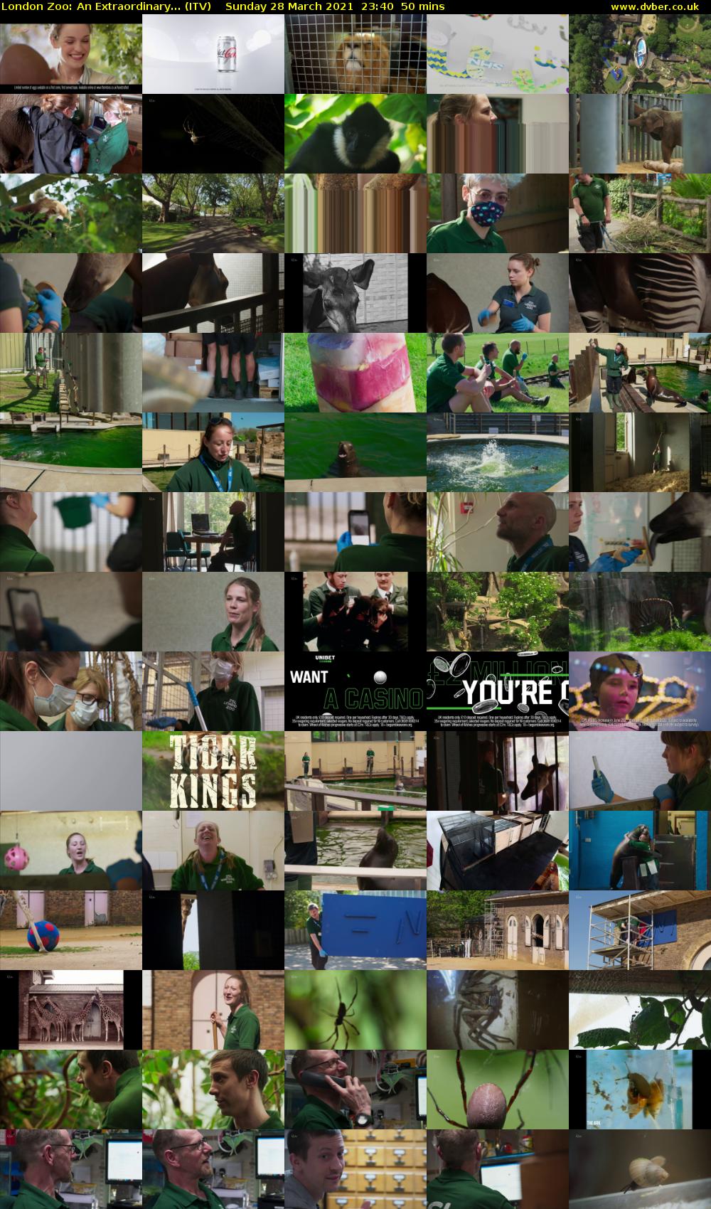 London Zoo: An Extraordinary... (ITV) Sunday 28 March 2021 23:40 - 00:30