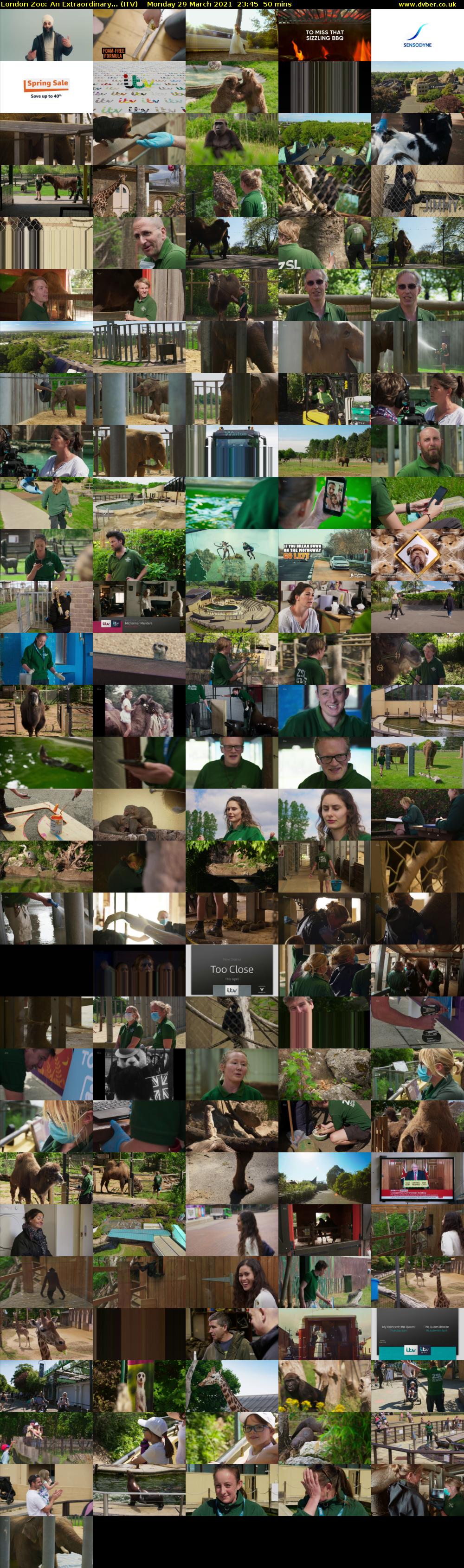 London Zoo: An Extraordinary... (ITV) Monday 29 March 2021 23:45 - 00:35