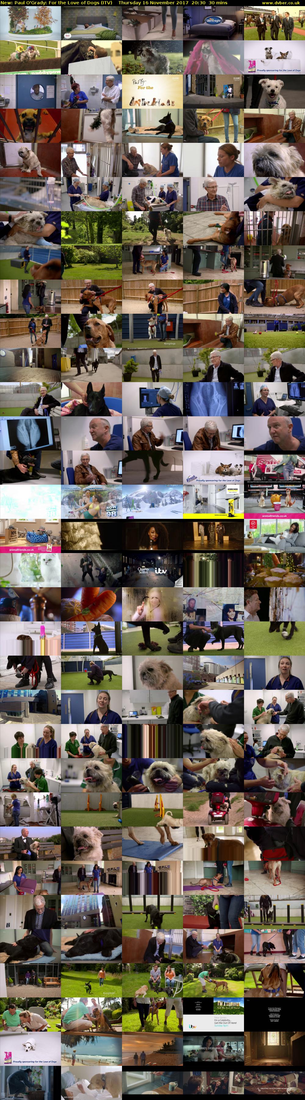 Paul O'Grady: For the Love of Dogs (ITV) Thursday 16 November 2017 20:30 - 21:00