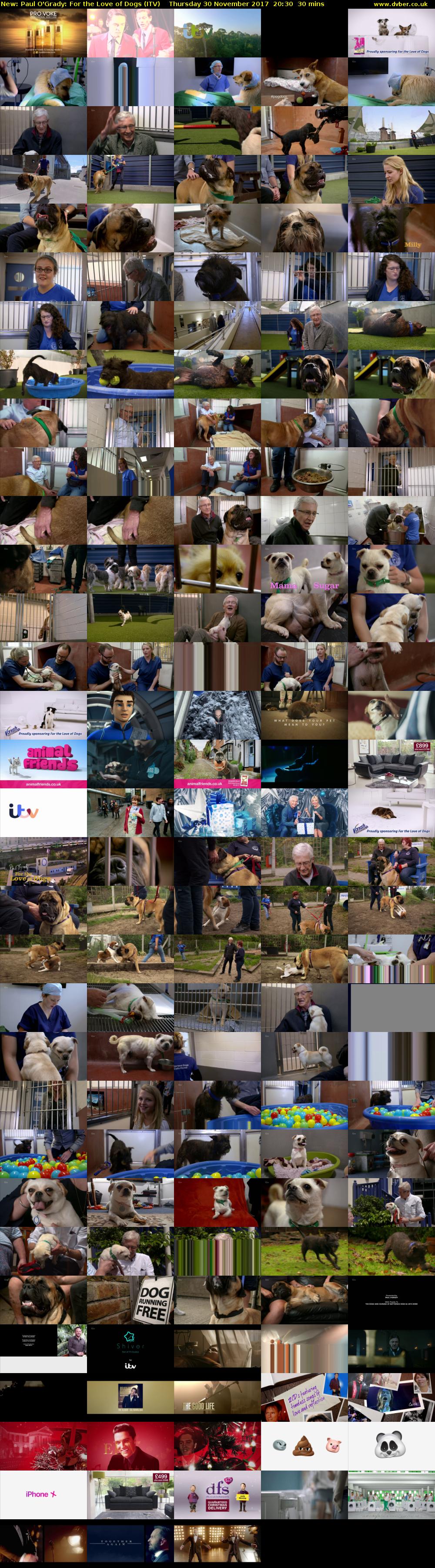 Paul O'Grady: For the Love of Dogs (ITV) Thursday 30 November 2017 20:30 - 21:00