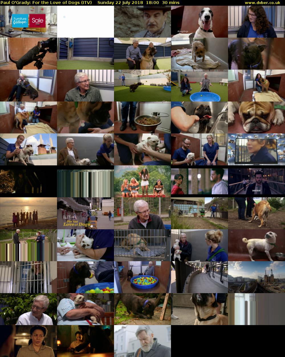 Paul O'Grady: For the Love of Dogs (ITV) Sunday 22 July 2018 18:00 - 18:30