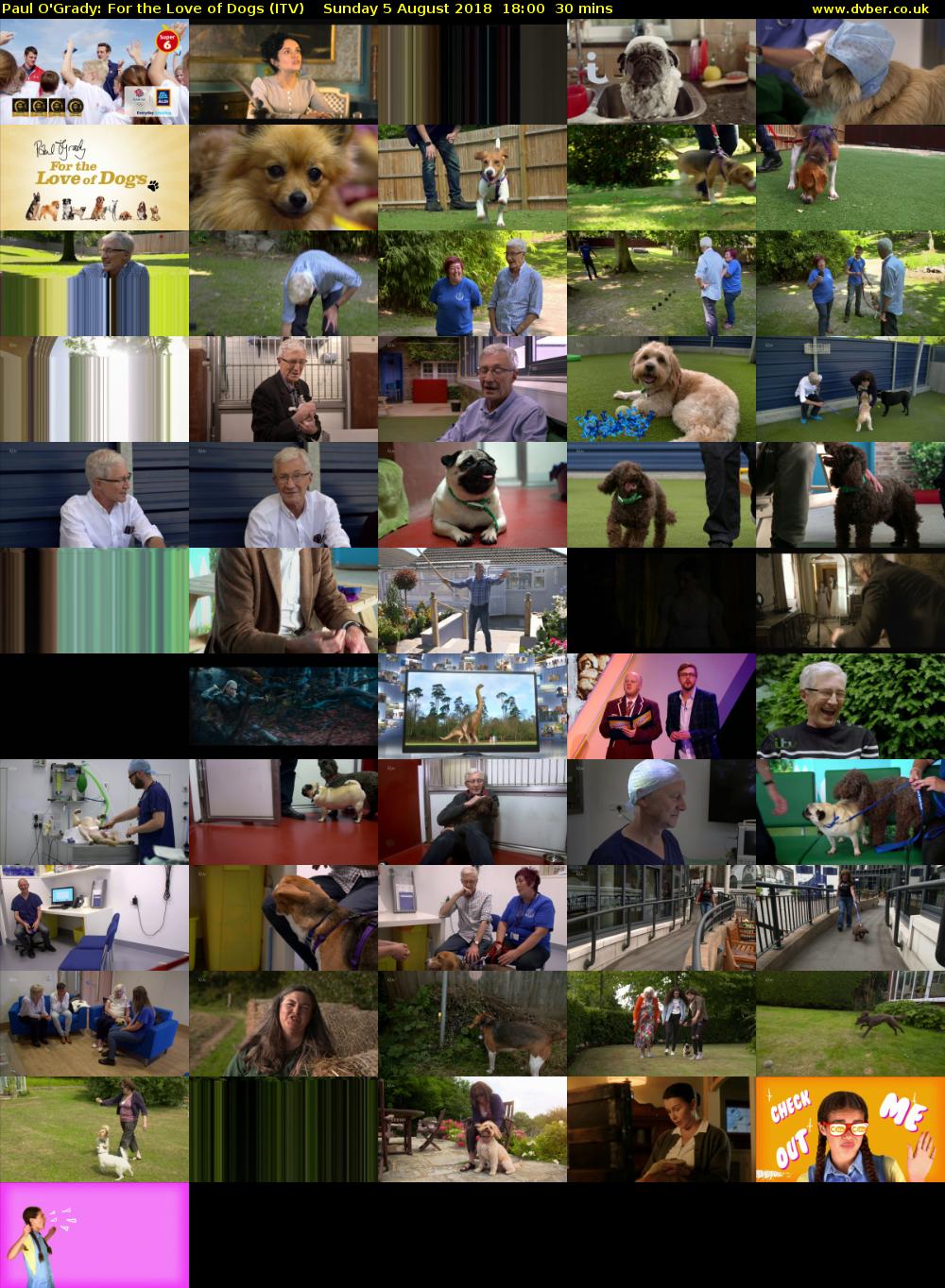 Paul O'Grady: For the Love of Dogs (ITV) Sunday 5 August 2018 18:00 - 18:30