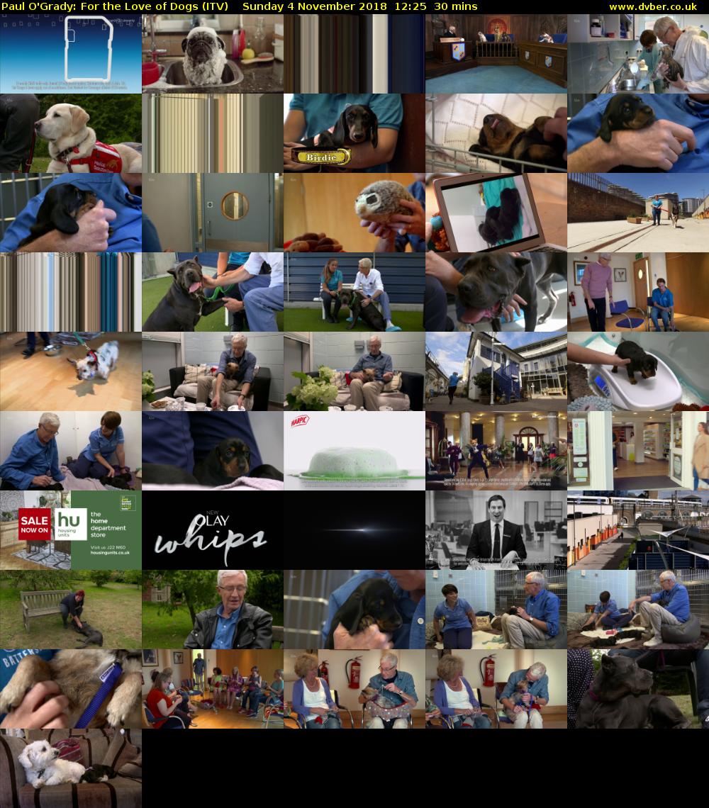 Paul O'Grady: For the Love of Dogs (ITV) Sunday 4 November 2018 12:25 - 12:55