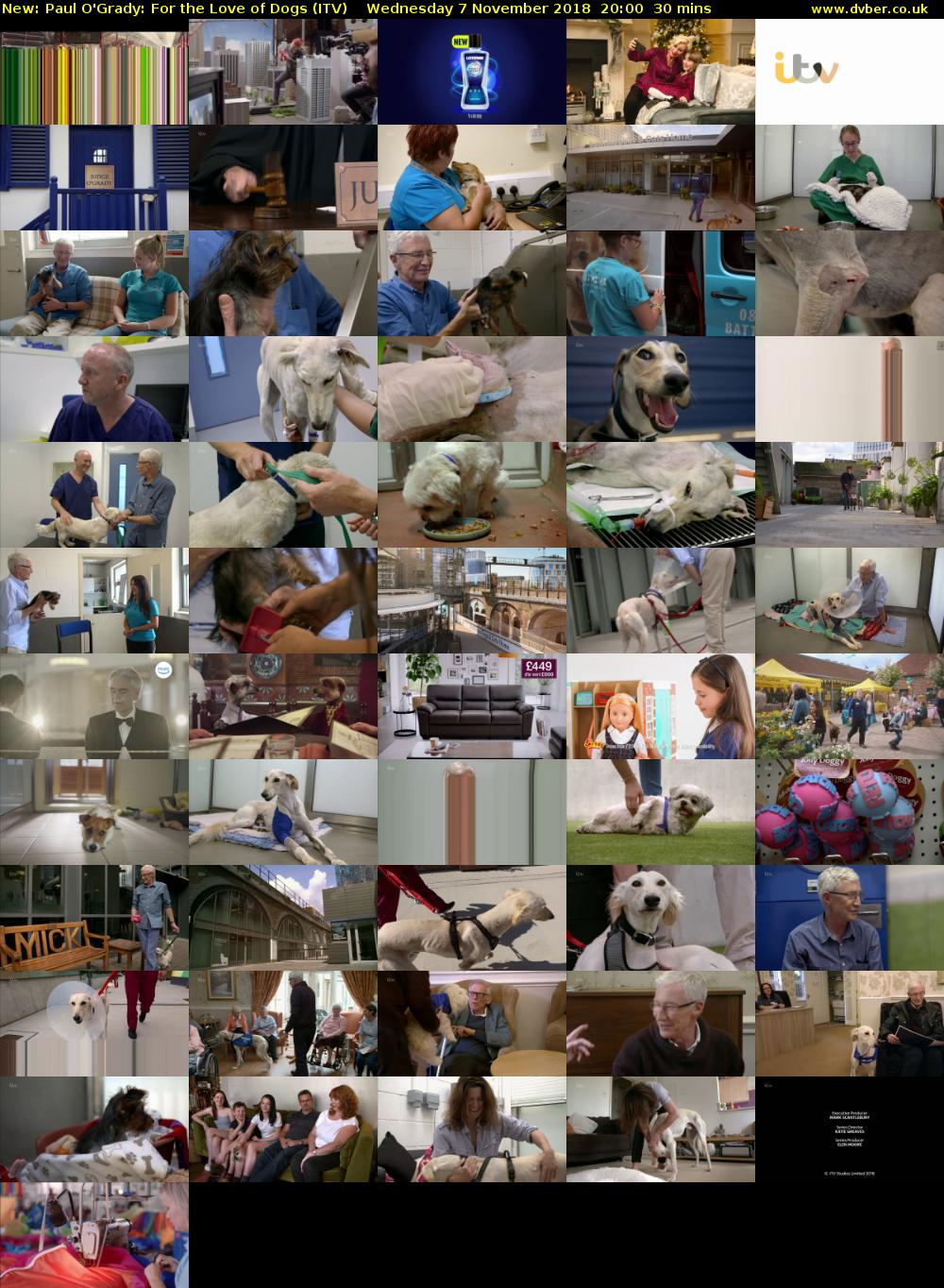 Paul O'Grady: For the Love of Dogs (ITV) Wednesday 7 November 2018 20:00 - 20:30