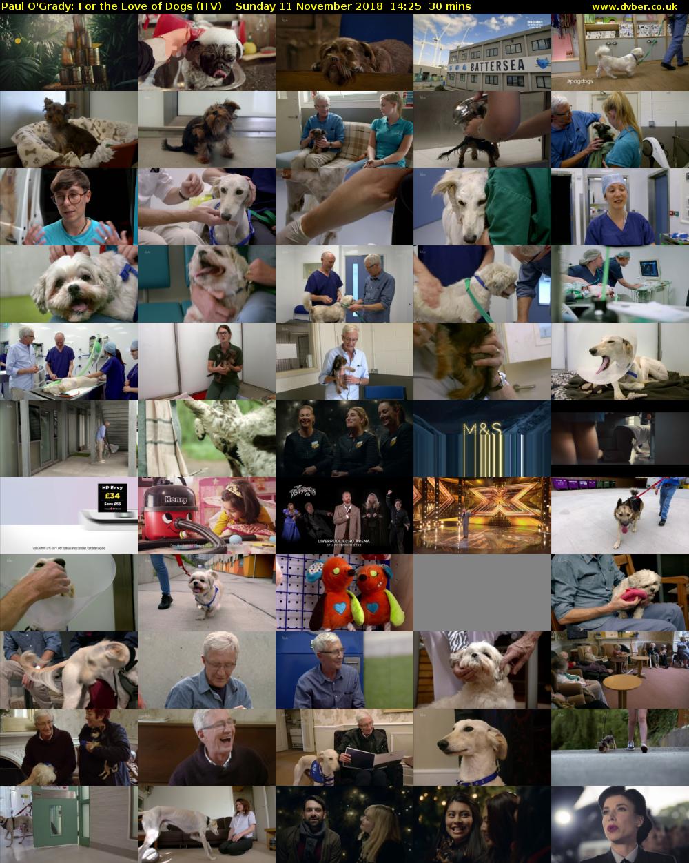 Paul O'Grady: For the Love of Dogs (ITV) Sunday 11 November 2018 14:25 - 14:55