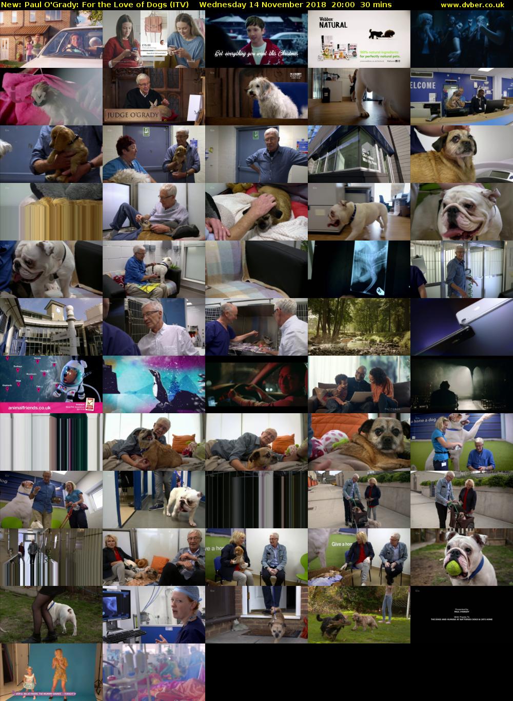 Paul O'Grady: For the Love of Dogs (ITV) Wednesday 14 November 2018 20:00 - 20:30