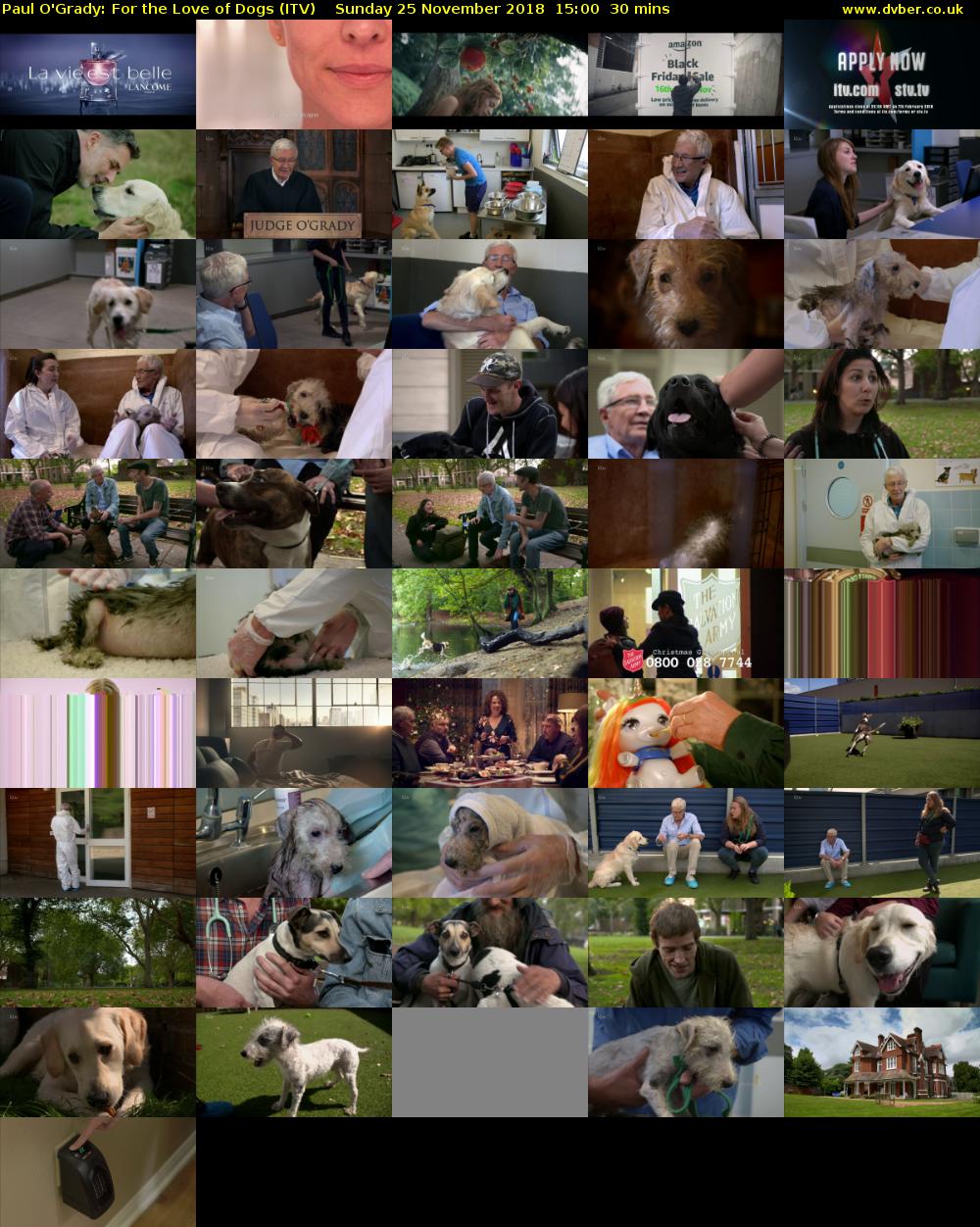 Paul O'Grady: For the Love of Dogs (ITV) Sunday 25 November 2018 15:00 - 15:30