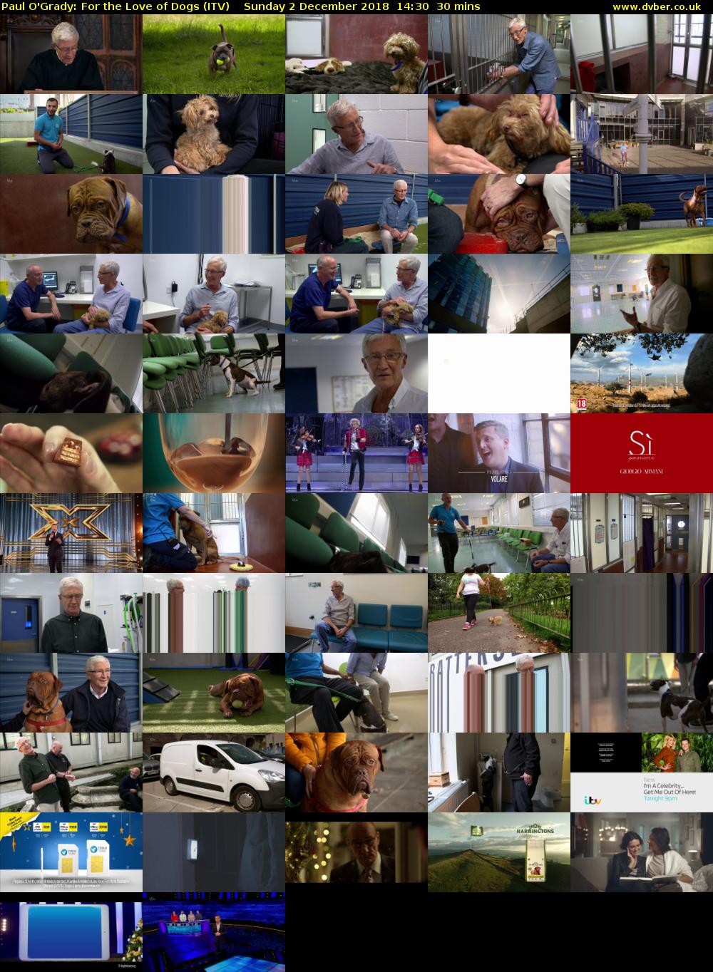 Paul O'Grady: For the Love of Dogs (ITV) Sunday 2 December 2018 14:30 - 15:00