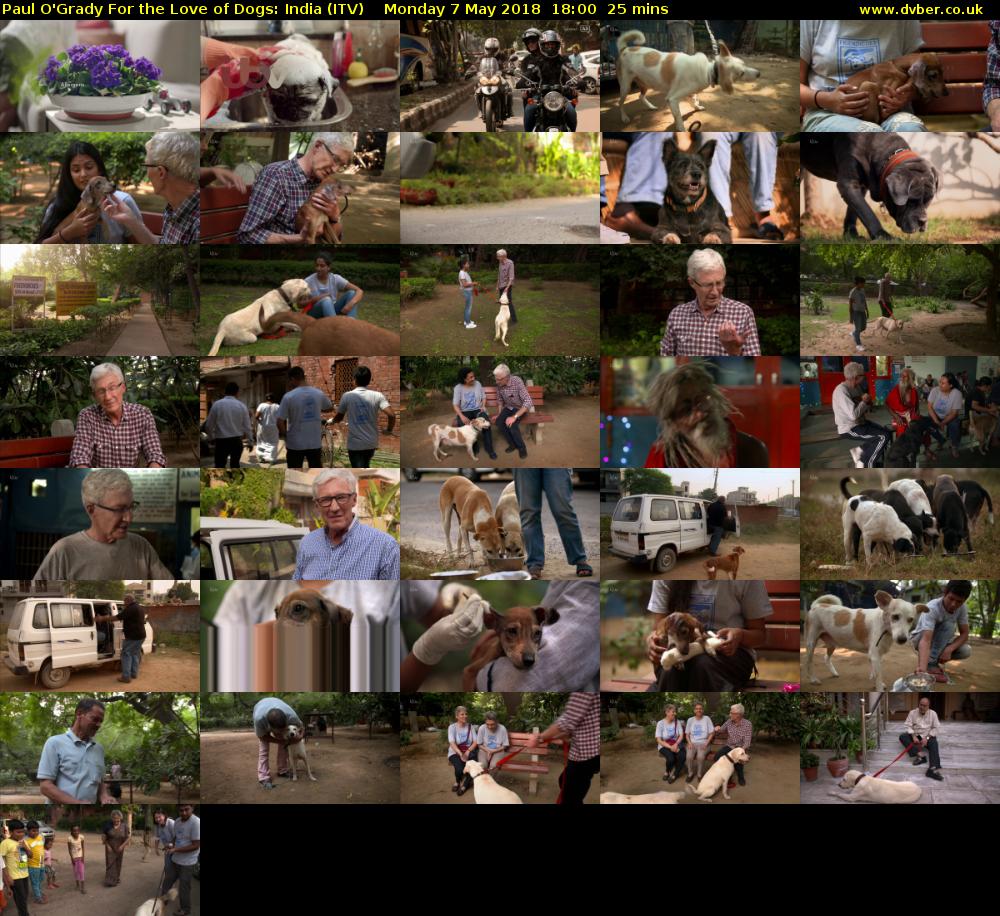 Paul O'Grady For the Love of Dogs: India (ITV) Monday 7 May 2018 18:00 - 18:25