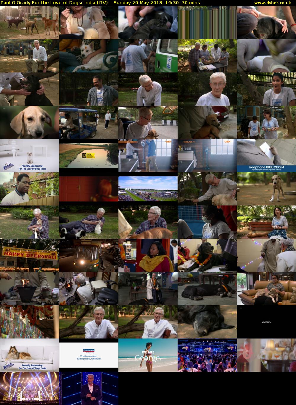 Paul O'Grady For the Love of Dogs: India (ITV) Sunday 20 May 2018 14:30 - 15:00