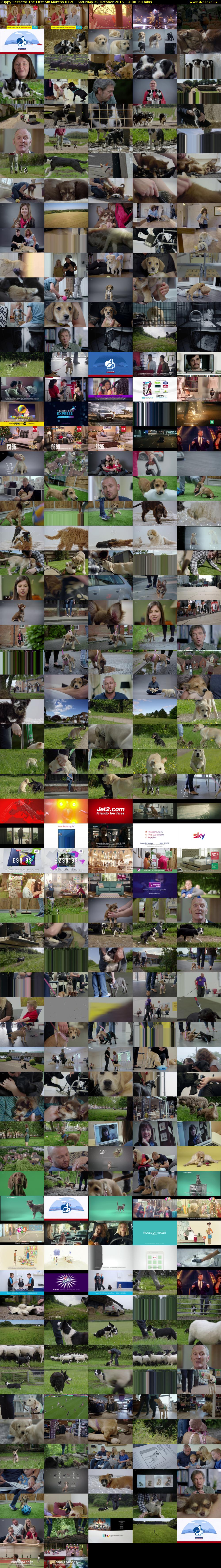 Puppy Secrets: The First Six Months (ITV) Saturday 29 October 2016 14:00 - 15:00