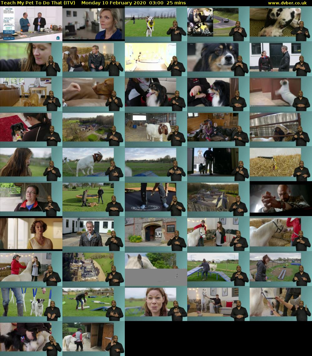 Teach My Pet To Do That (ITV) Monday 10 February 2020 03:00 - 03:25