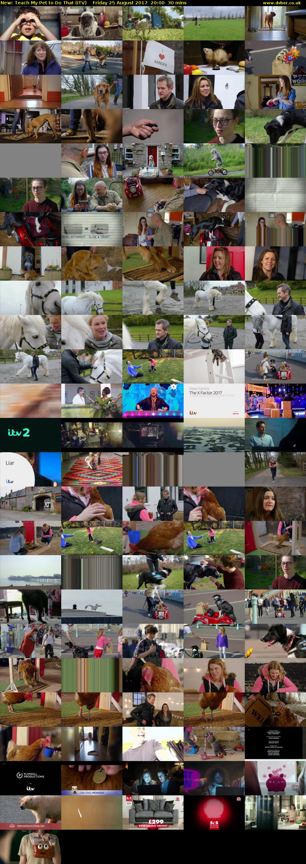 Teach My Pet to Do That (ITV) Friday 25 August 2017 20:00 - 20:30