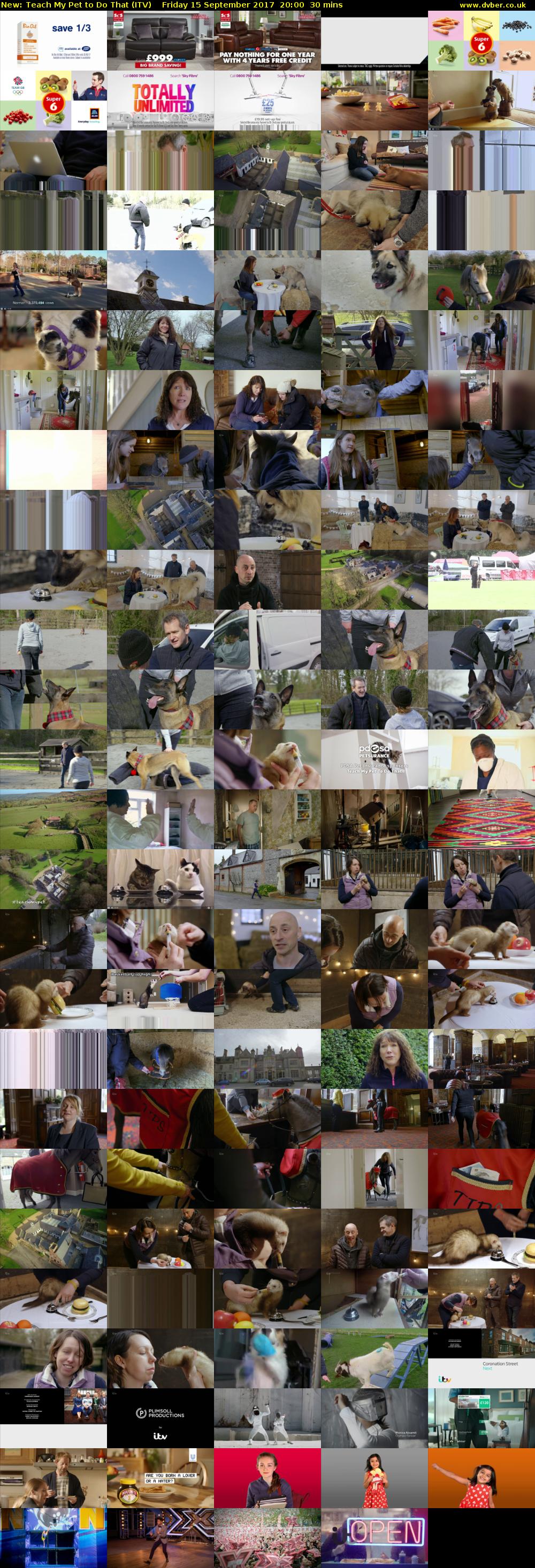 Teach My Pet to Do That (ITV) Friday 15 September 2017 20:00 - 20:30