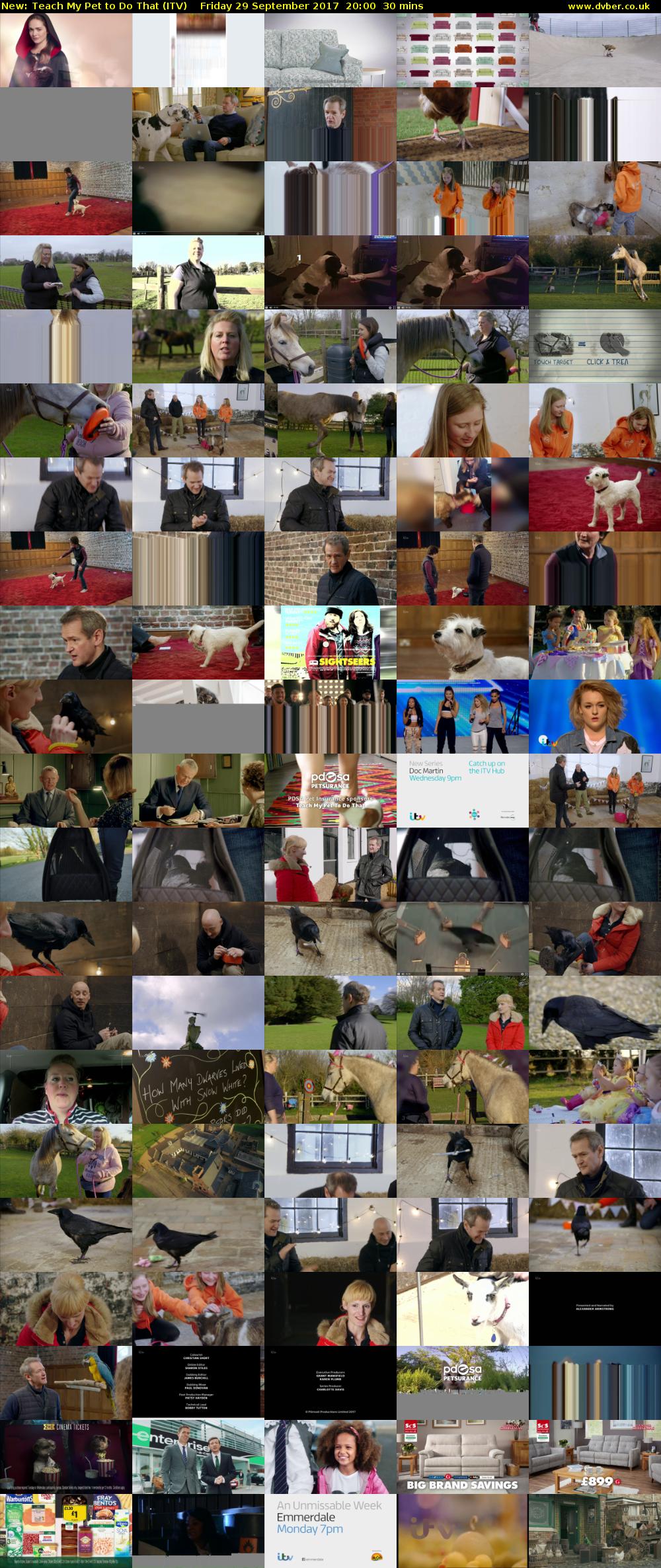 Teach My Pet to Do That (ITV) Friday 29 September 2017 20:00 - 20:30