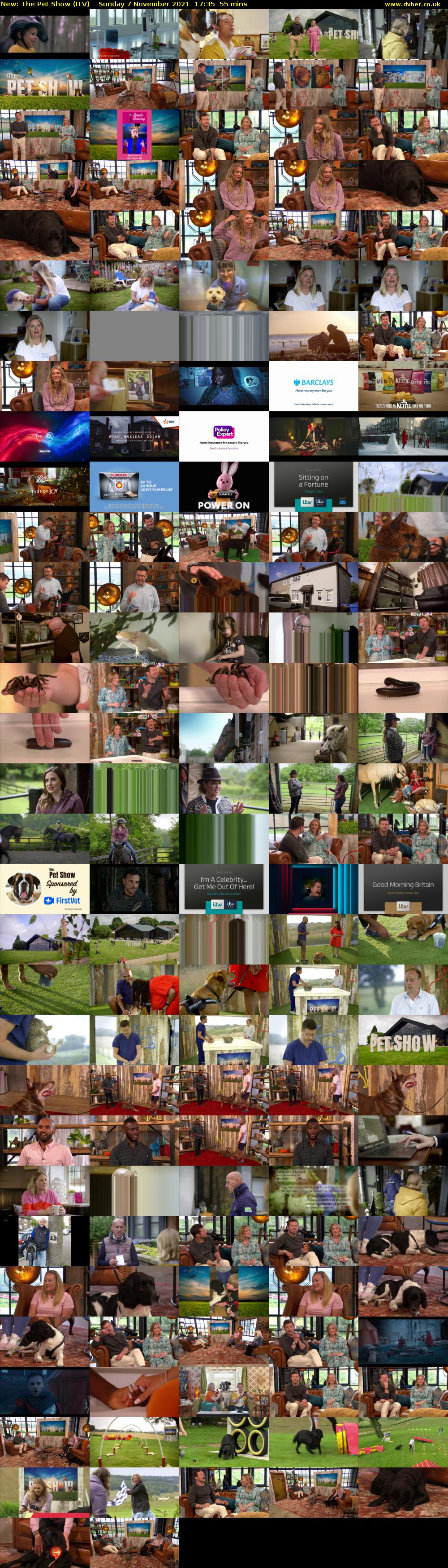 The Pet Show (ITV) Sunday 7 November 2021 17:35 - 18:30