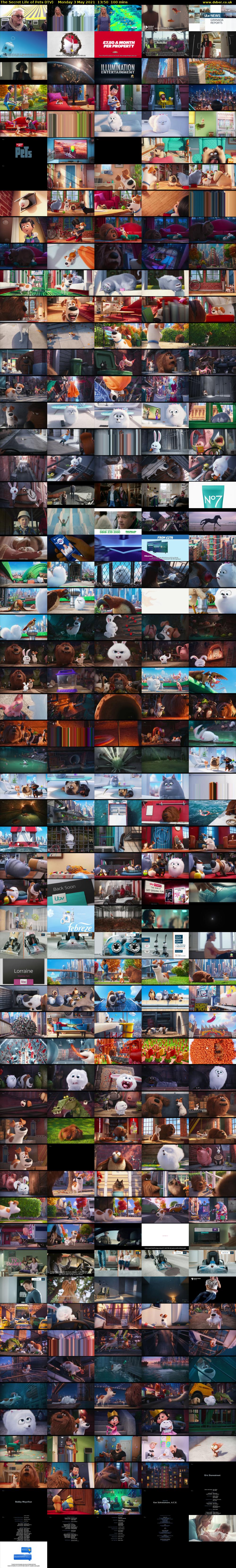 The Secret Life of Pets (ITV) Monday 3 May 2021 13:50 - 15:30