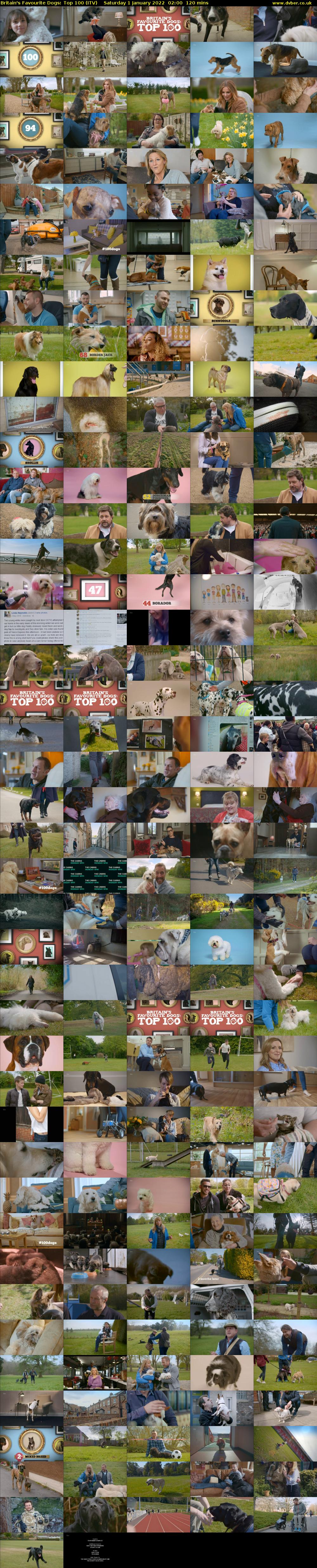 Britain's Favourite Dogs: Top 100 (ITV) Saturday 1 January 2022 02:00 - 04:00