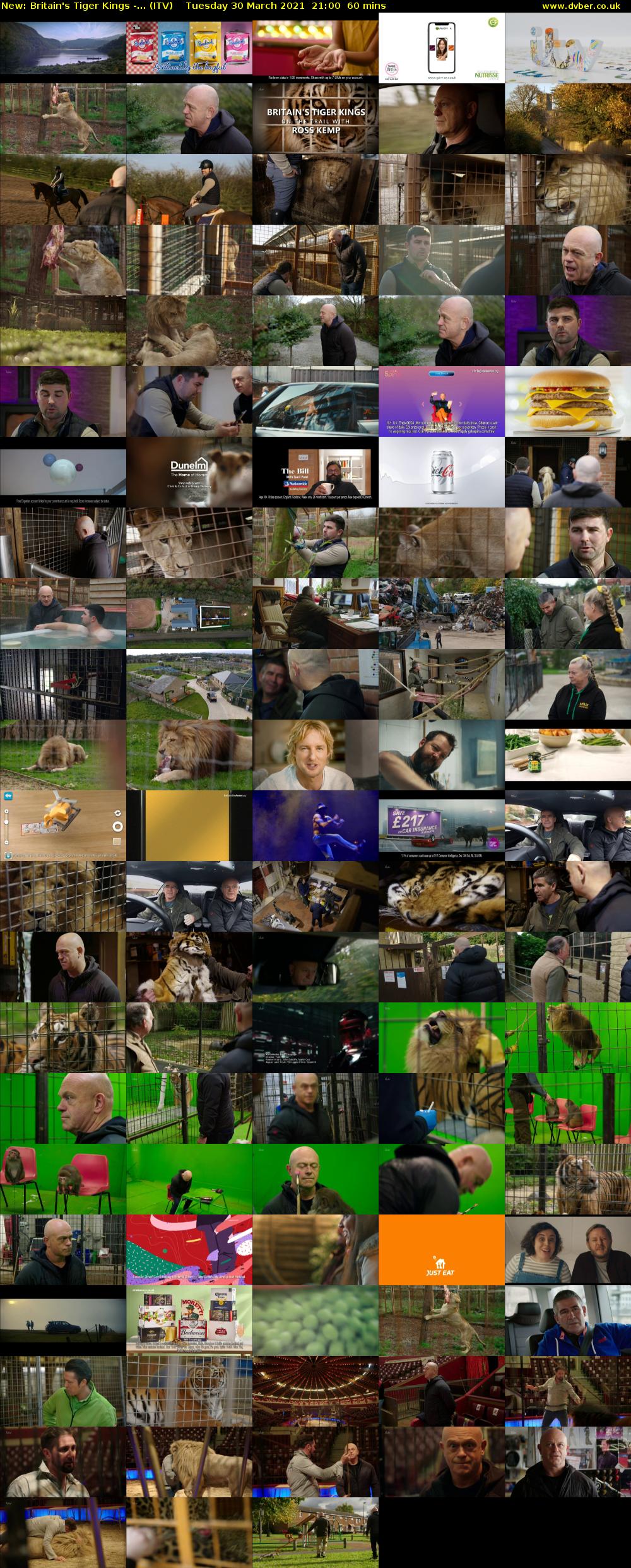 Britain's Tiger Kings -... (ITV) Tuesday 30 March 2021 21:00 - 22:00